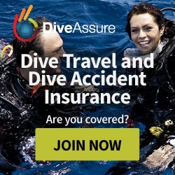 banner dive assure_home_mobile_250x250