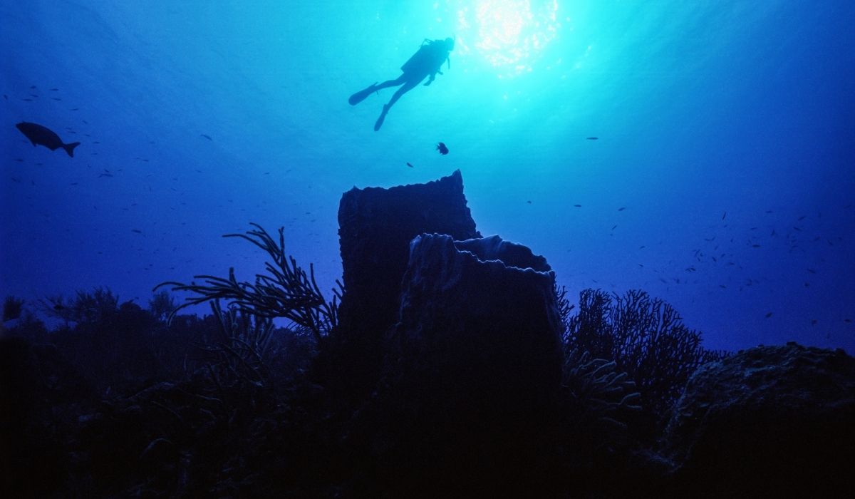 Aqualand_Bahamas_
